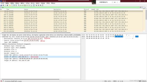 计算机网络实验报告